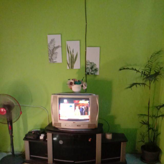 Craftpedia 1 Set Hiasan Dinding Tanaman 60x40 Cm