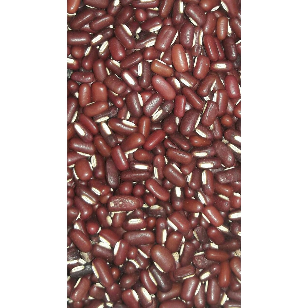 

Dijual KACANG MERAH KECIL ORGANIK 200gram 200 gram Berkualitas