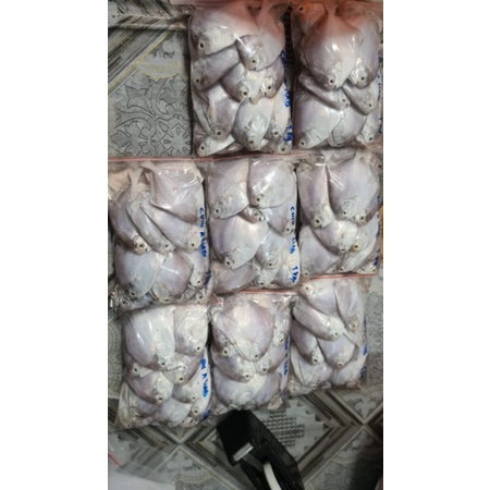 

bawal putih, bawal , Chiu a liab 1000gram / 1kg ​ ​Hi.. guys mulai dari sekarang kami ada jual frozen ikan2 seger panipahan khusus medan