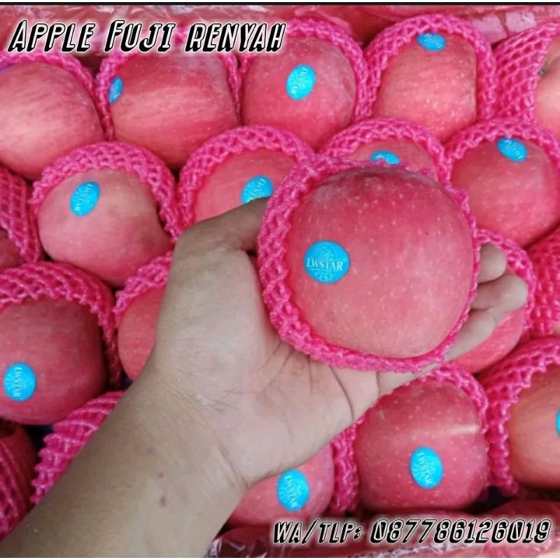 

Apple Fuji renyah