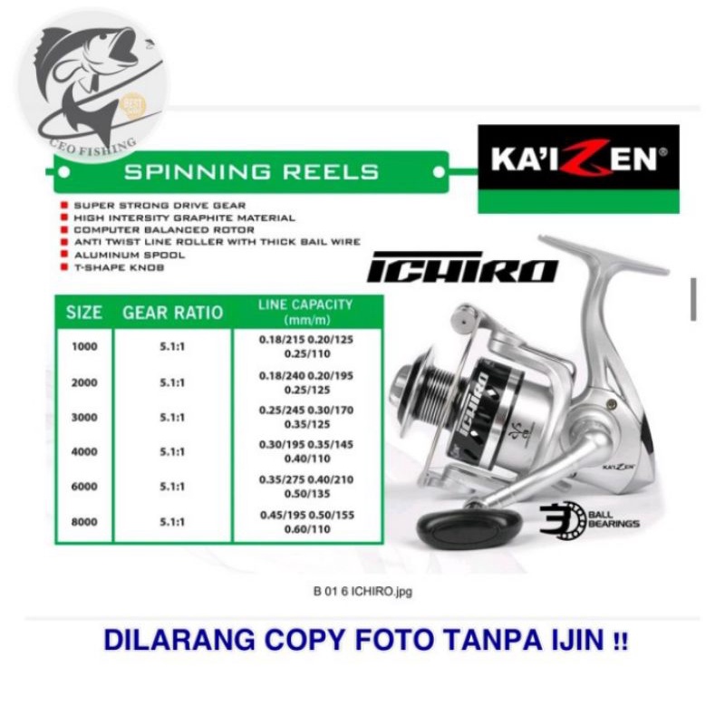 Reel Kaizen Ichiro 8000 4000