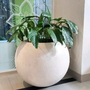 Pot teraso bulat diameter 50cm