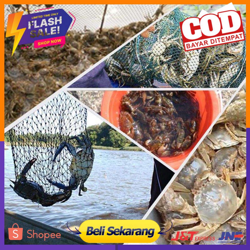 Jaring  Penangkap Ikan Kecil Nilon  Lubang 6 10 12 20 Bentuk Heksagonal