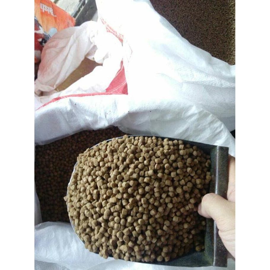 Dijual Pakan Ternak Ikan Lele Pelet Ikan Terjarmin