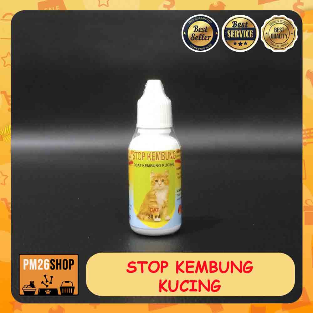 Obat Kembung Kucing