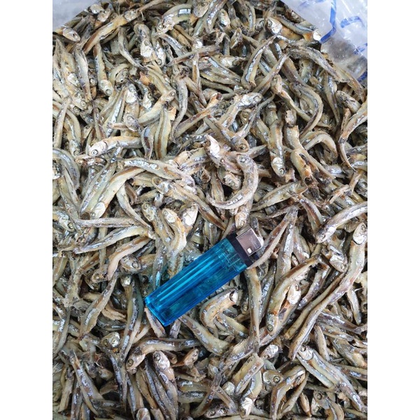 

TERI JENGKI UTUH ENAK BERKUALITAS