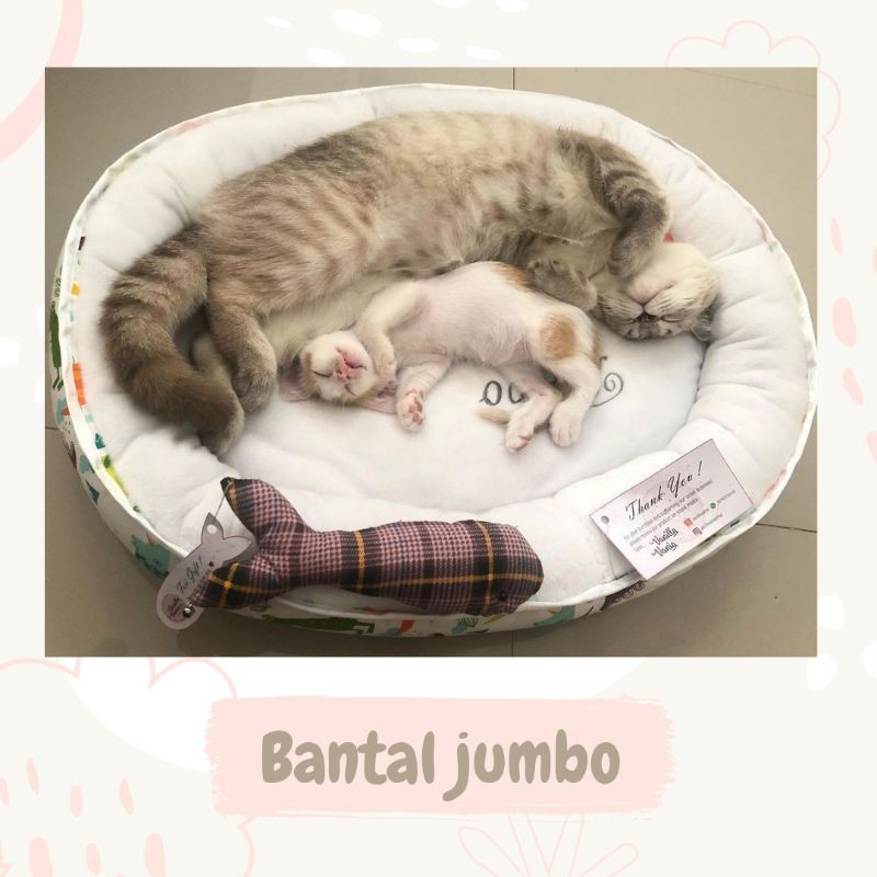 bantal hewan petbed jumbo bordir FREE MAINAN IKAN / TULANG