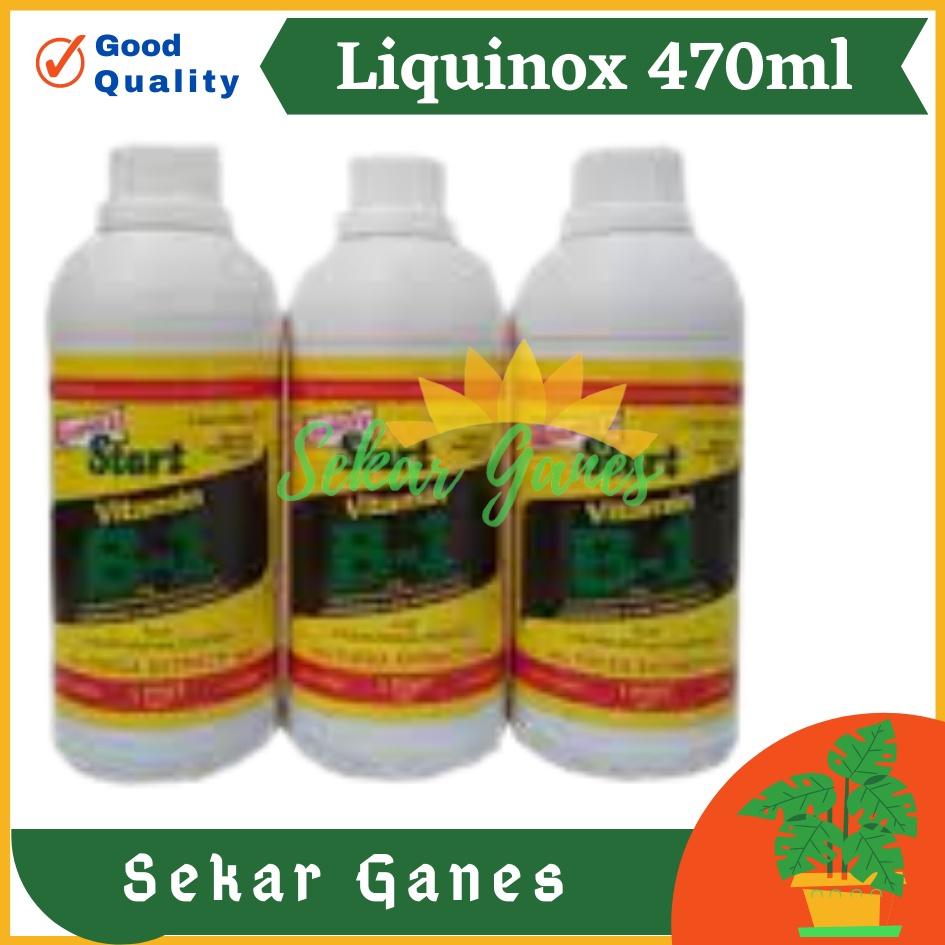 Ori B1 Liquinox 470 Ml Penumbuh Akar Obat Anti Stres Vitamin Nutrisi B1 Tanaman Bibit Stek Cangkok