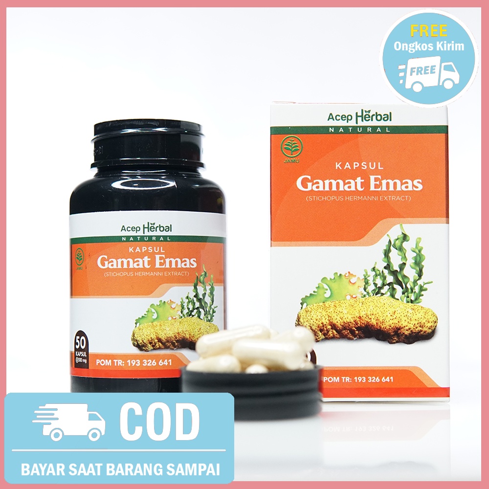 Kapsul Gamat Emas 100% Original - Kapsul Gamat Emas Isi 50 Kapsul BPOM & HALAL MUI