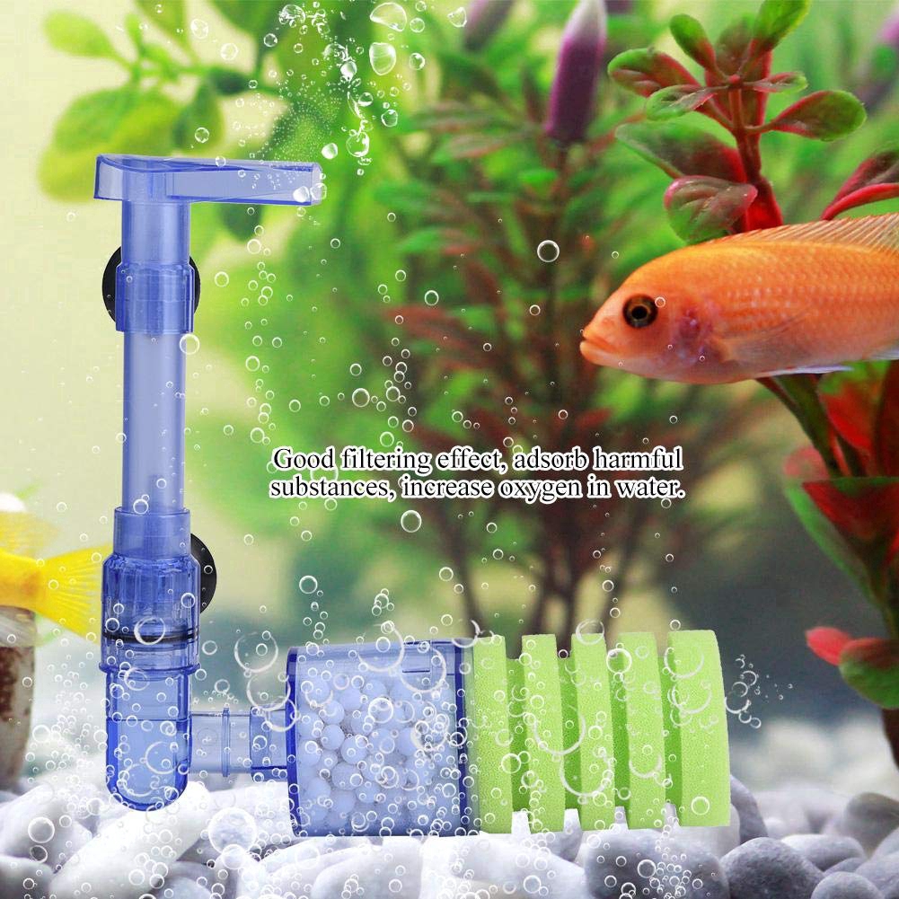 66 Desain Aquascape Aquarium Kecil HD Terbaik