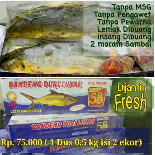 

Bandeng Presto 58 duri lunak