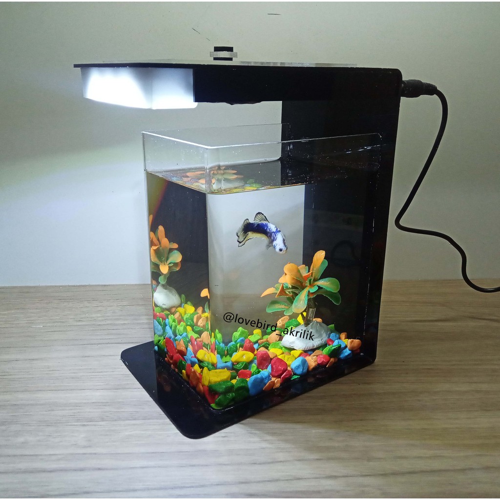 Betta Fish Tank, Aquarium Mini Akrilik, Mini Aquascape ...