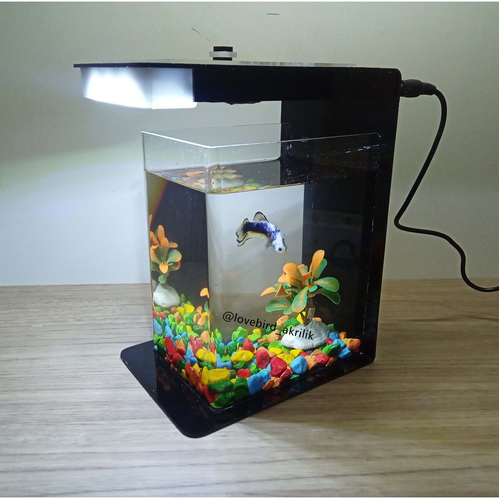 Harga Aquarium Hewan Terbaik Hobi Koleksi Juli 2021 Shopee Indonesia