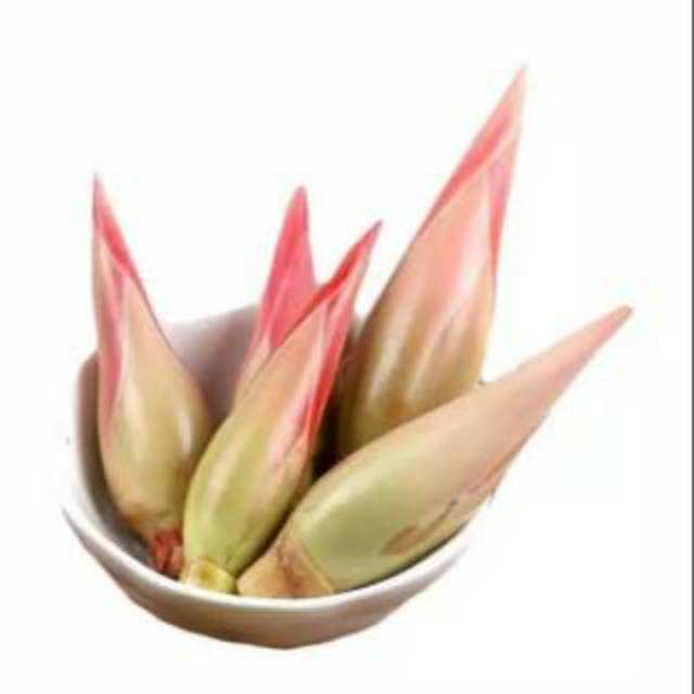 

Jual Bunga ke combrang segar 100gram bunga honje rombeh kecombrang