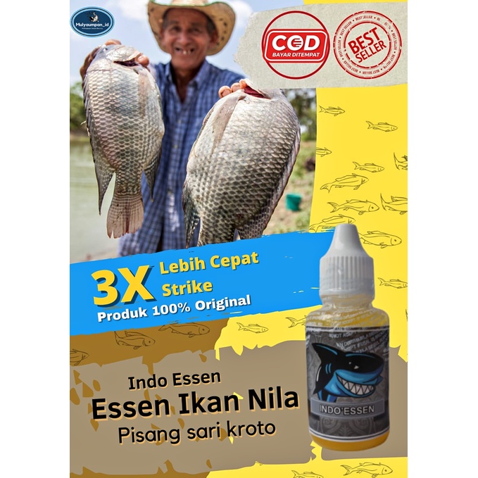 [ BISA COD ] ESSEN IKAN MAS NILA GALAPUNG BANDENG BABON AROMA AMIS WANGI PISANG AMBON SARI KROTO