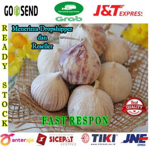 

Bawang Putih Tunggal - Lanang Kualitas Premium 500Gram