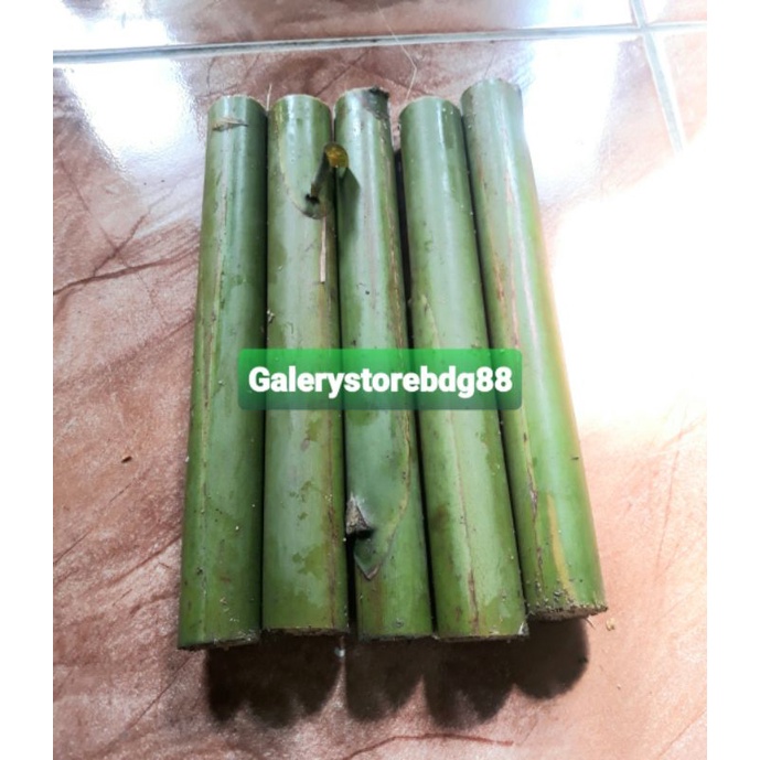 Batang kecombrang batang honje segar 1 kg