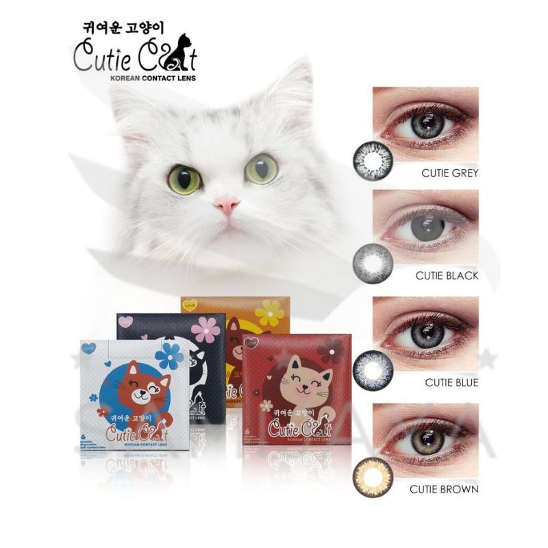 SOFTLENS CUTIE CAT MINUS -3.50 s/d -6.00  / OMEGA