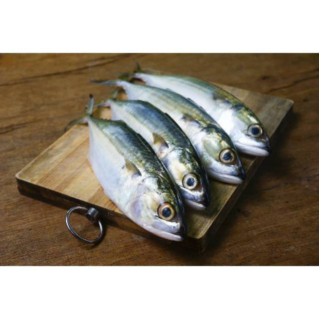 

Ikan Banjar Banjara Segar 1 Pack sudah dibersihkan Fresh Fish Pasar Online Makassar
