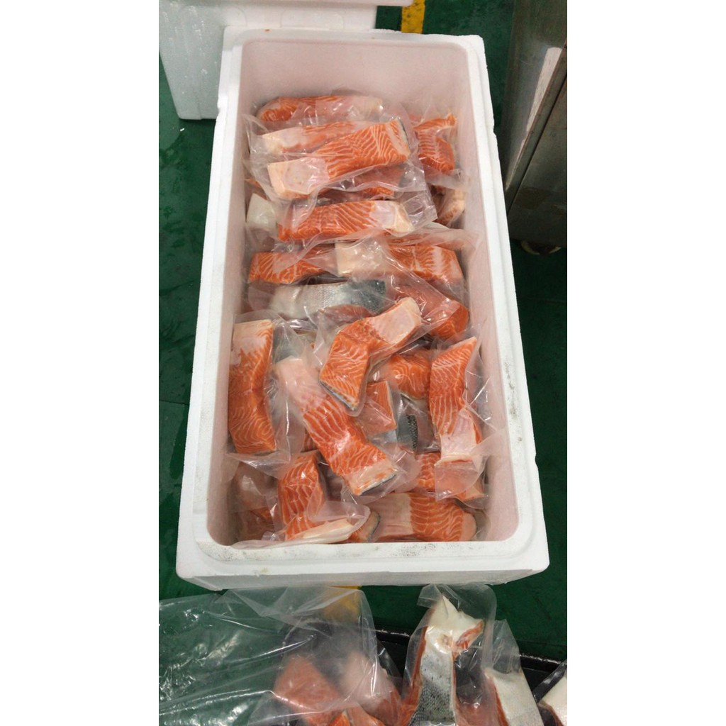 Norwegian Fresh Trout Salmon Fillet 250gr Premium/Fresh Sashimi Grade