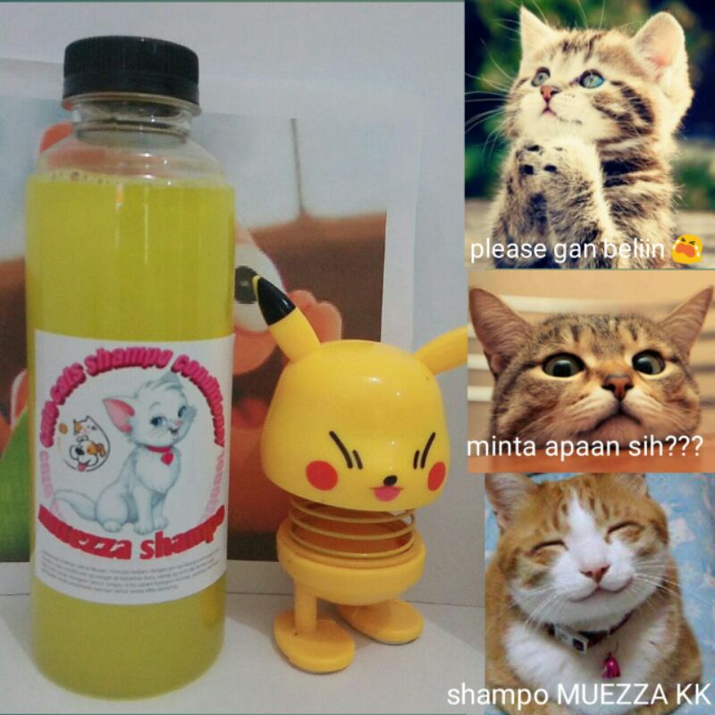 COMBO !!! 3 BOTOL total 750 mili cat sampo ukuran 250 ml untuk kucing anjing sampoo muezza anti kutu jamur tick and flea rontok Angora anggora sampho  mixdome bengal murah terlaris natural obat.