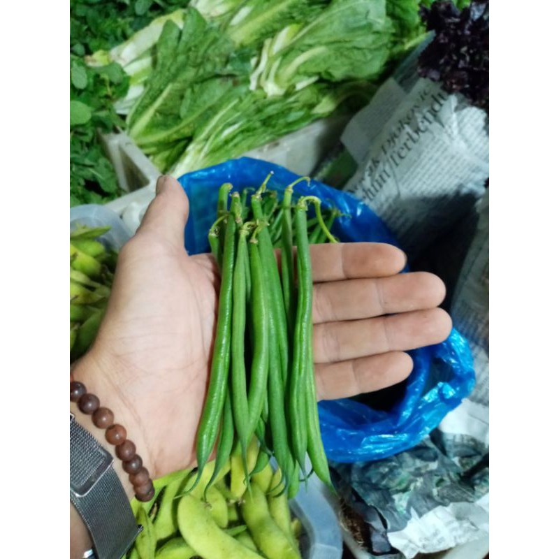 

BEBY KENYA/BUNCIS MINI/NIURAME