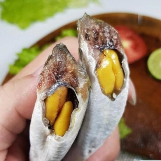 

Fisho | Ikan Belanak Blanak Full Telur Ready stock