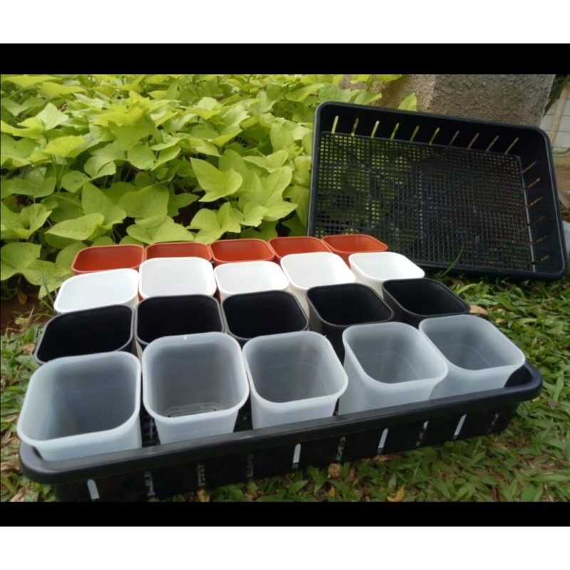 Tray 50 cm + Pot kotak NKT 7 cm (20 pcs)