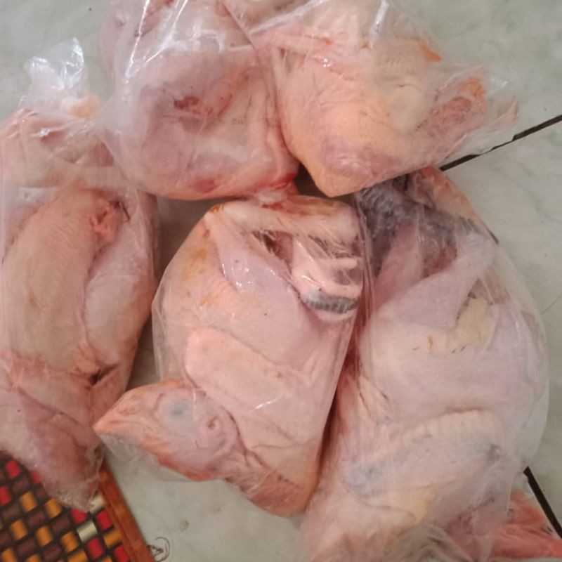 

ayam kampung murah banget 600 gr