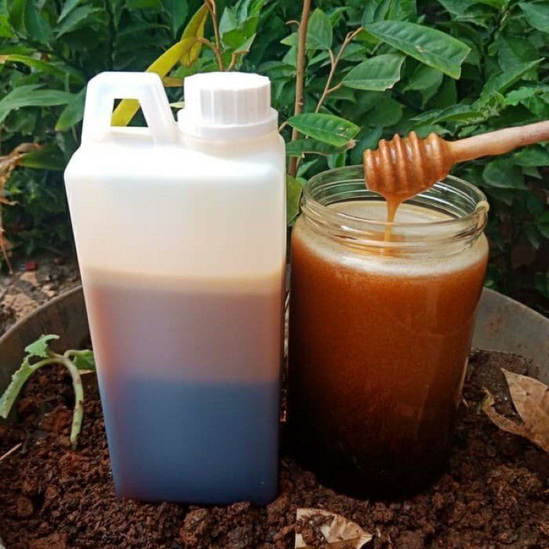 

Madu Hutan/Raw Honey Sialang Riau