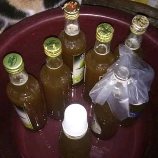 

Manis Madu Asli