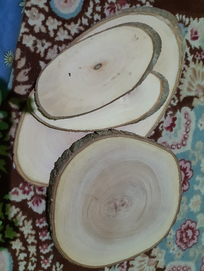 Wood Slice 23-25 Cm Log Kayu Hiasan Dinding Bahan Craft Dekorasi