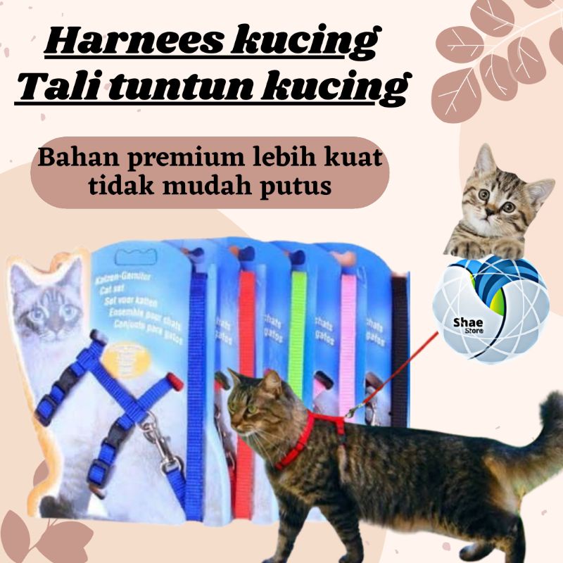 Harness H Hernes Tali Hewan Kalung Tuntun Badan Kucing Musang Kelinci