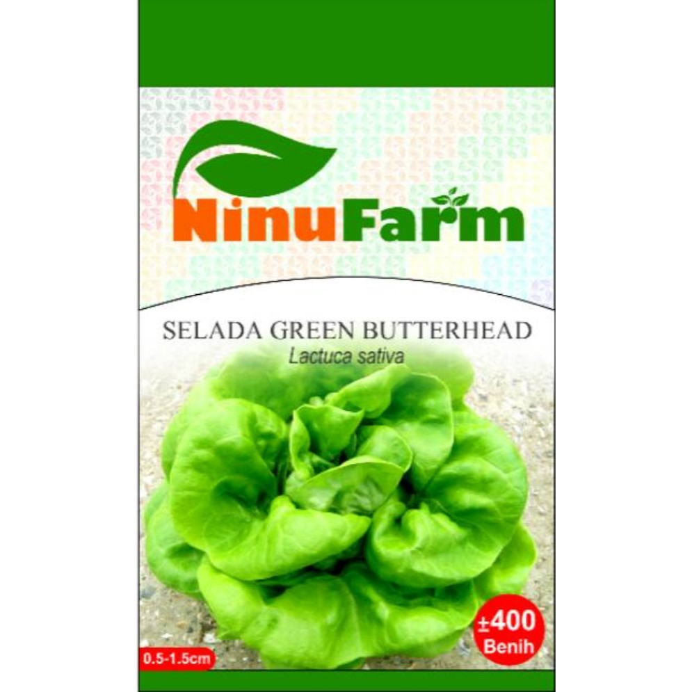 Jual BIBIT SELADA BUTTERHEAD / SELADA GREEN BUTTERHEAD / NINUFARM