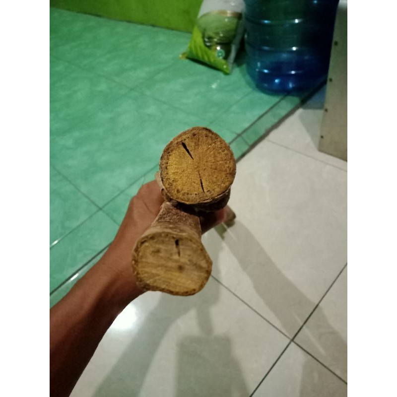 Akar Kuning Asli Kalimantan