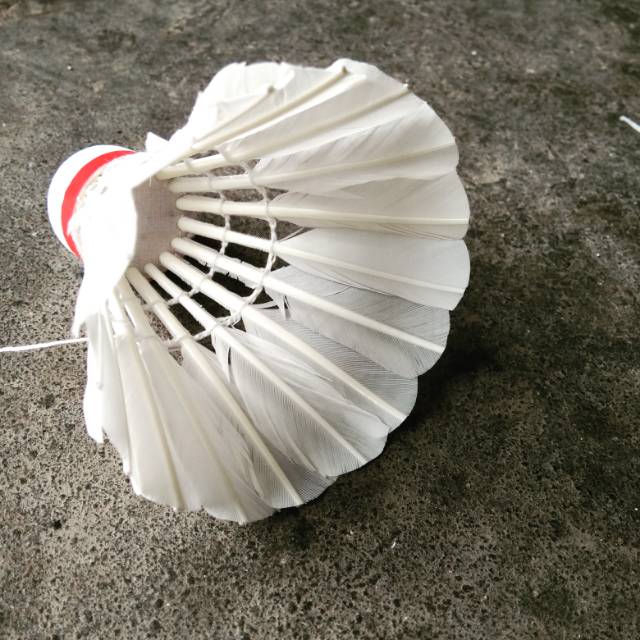 Shuttlecock Polos Tanpa Merek