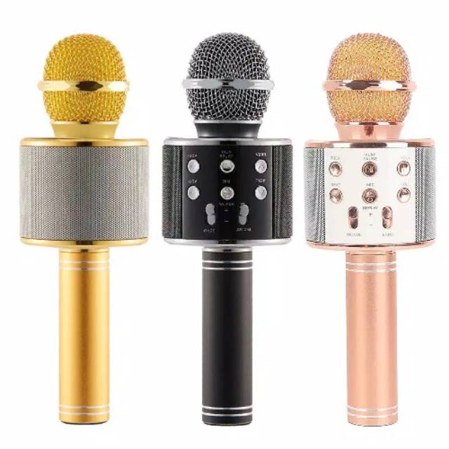 Mikrofon karaoke WS 858