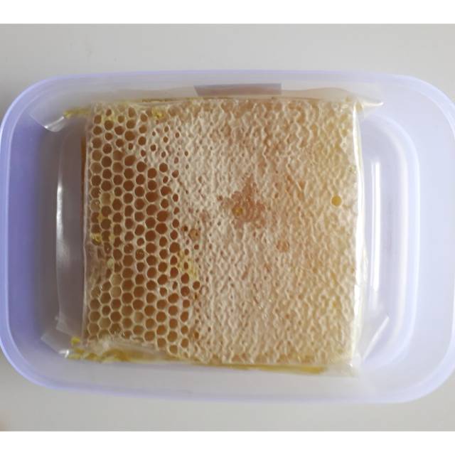 

Madu Sarang 500gr Asli Honeycomb