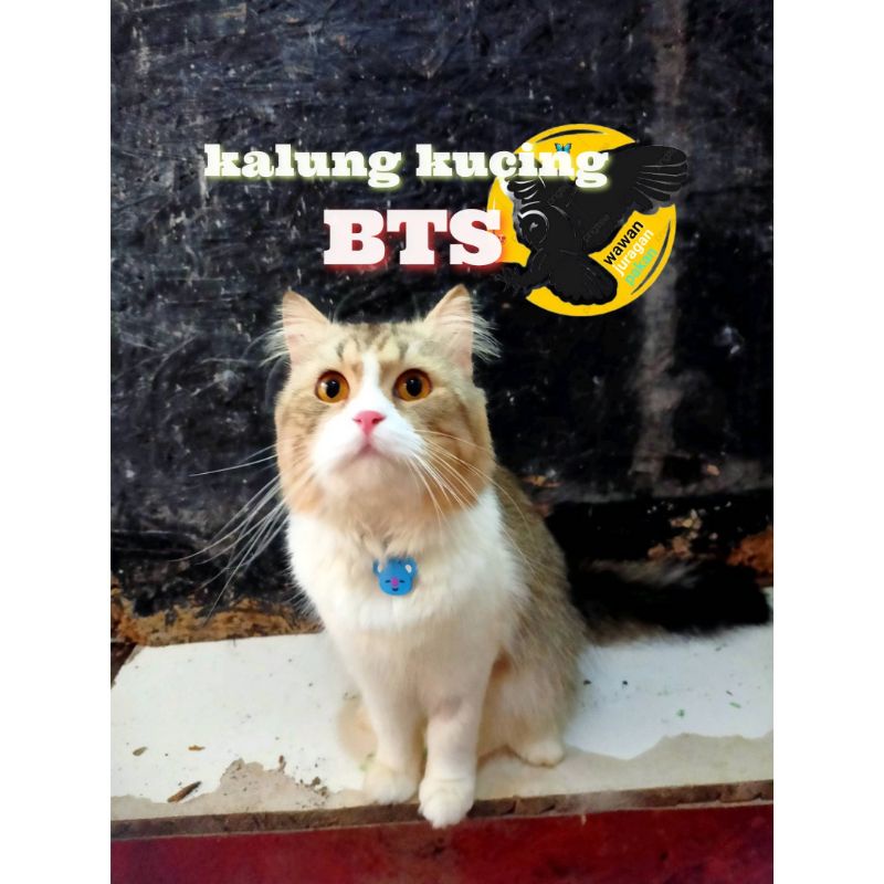 KALUNG BTS KALUNG KUCING BTS KALUNG KUCING UNIL KEREN ARMY