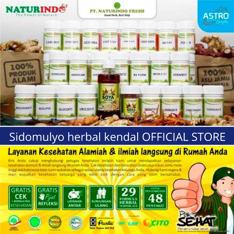 OBAT BELLS PALSY OBAT BELL S PALSY HERBAL OBAT WAJAH PELO STROKE OBAT STRUK  CARSIFIT NATURINDO