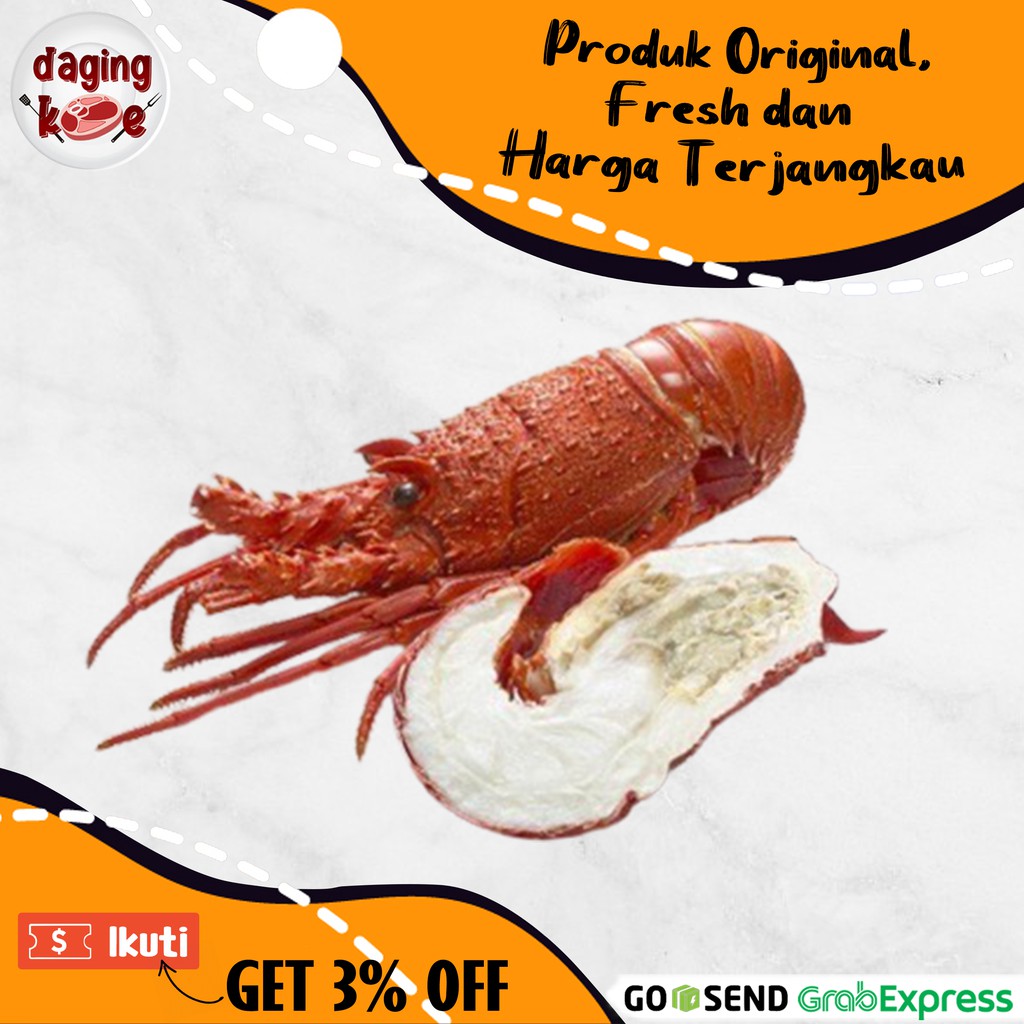 

LOBSTER LAUT BEKU FROZEN PREMIUM DK249