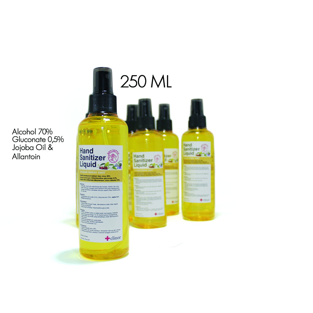 hand sanitizer 250ml pembersih tangan ukuran besar