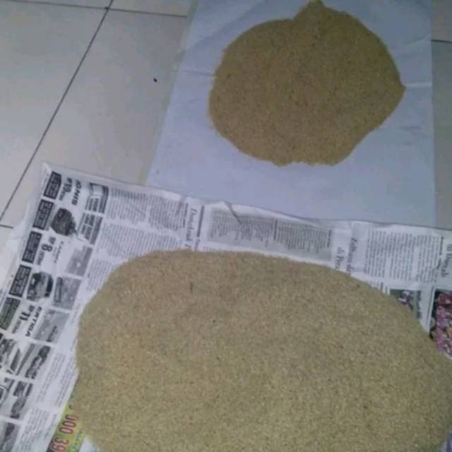 Telur Jangkrik Kalung