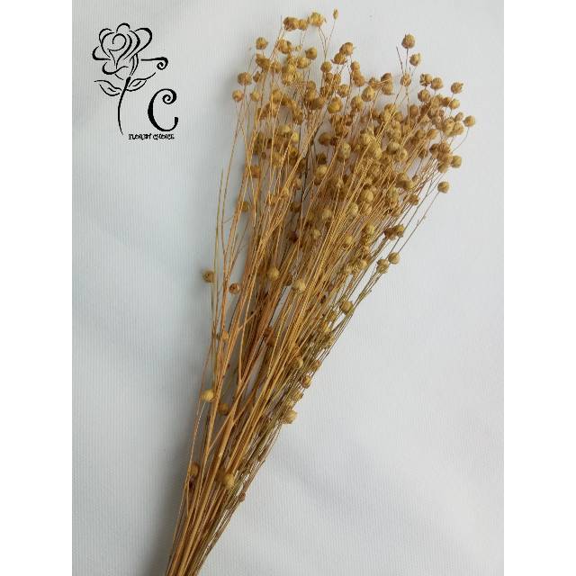 √Terbaru Hiasan Buket Bunga Lino Dried Untuk Dekorasi Rustik Daun Kering Sikas Palem Gandum Lagurus