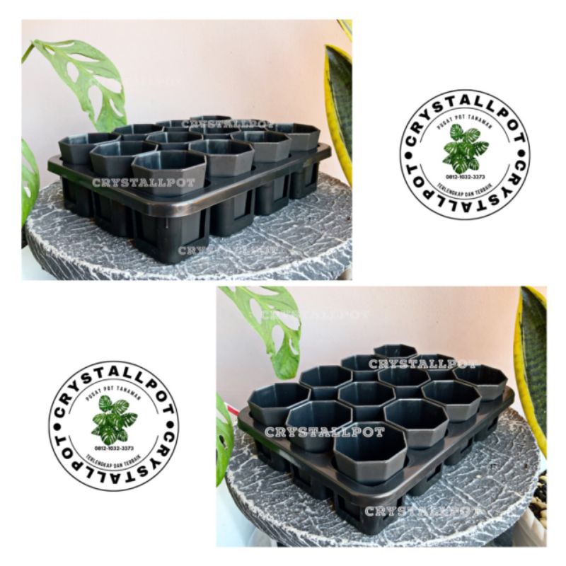 1 set Tray + POT BUNGA NKT PAGODA MINI 5CM HITAM | tray semai bibit