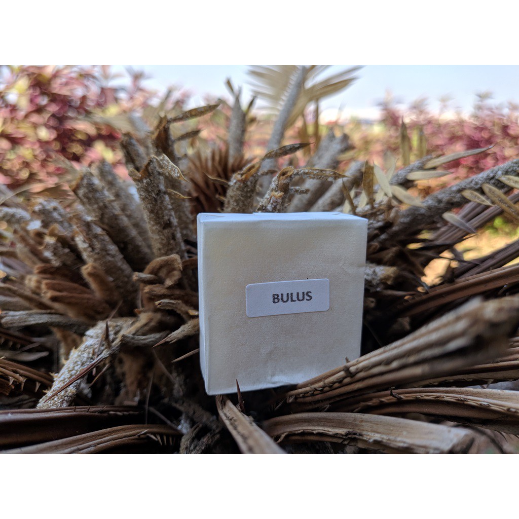 Sabun Bulus Batang / Sabun Minyak Bulus Batang / Sabun Bulus Alami Herbal Original Pembesar Payudara