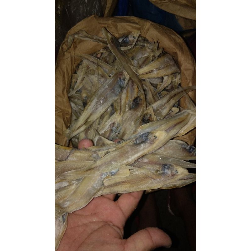 

ikan lidah