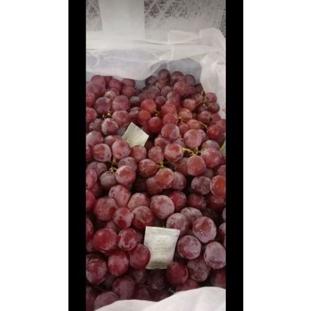 

anggur red globe 1 kg