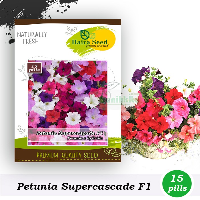 Benih-Bibit Bunga Petunia Supercascade F1 Mixed (Haira Seed)