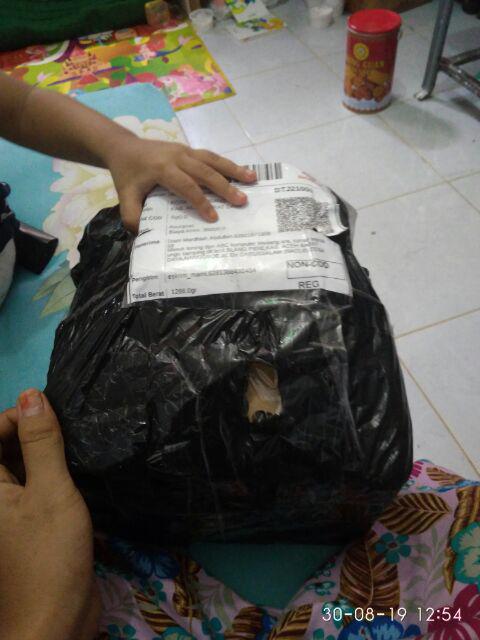 Kemasan Es Loly Alaska